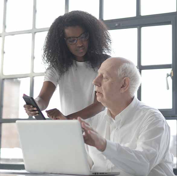 professional translation