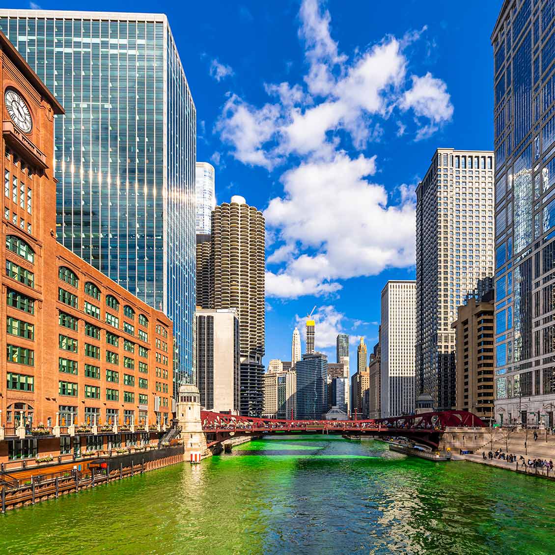 Chicago Translation Services in Illinois